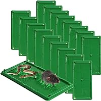 18 Pcs Glue Mouse Traps Mouse and Insect Glue Traps Plastic Mouse Sticky Traps for Mice Rats Snake Lizard Insect Spider for Indoor Home Warehouse Courtyard Kitchen (Green)