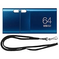 256GB Type-C Flash Drive 400MB/s Read USB 3.1 Flash Drive for Notebooks, Tablets, and Smartphones MUF-256DA/APC Bundle with (1) GoRAM Lanyard (256, GB)