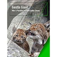Gentle Giant - Otter's Paradise in Capercaillie County