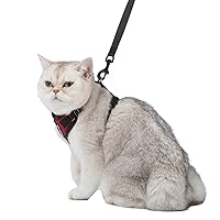 Voyager Step-in Lock Cat Harness w Reflective Cat Leash Combo Set with Neoprene Handle 5ft - Supports Small, Medium and Large Breed Cats by Best Pet Supplies - Red/Black Trim, XXXS