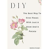 DIY: Best way to grow rose cutting in potatoes