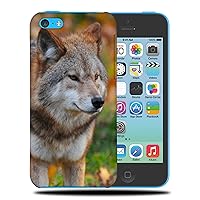 Cool Animal Wolf Canine Dog #1 Phone CASE Cover for Apple iPhone 5C
