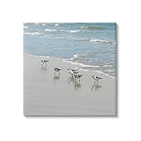 Stupell Industries Sandpipers on Shore Reflection Canvas Wall Art, Design by Natalie Carpentieri