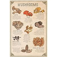 Mushrooms Wild Infographic Metal Signs Wall Decor Mushrooms Wild Chart Aluminium Signs Mushrooms Wild Knowledge Posters Retro Home Farm Courtyard Plaque 12x16 Inches