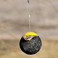 Songbird Essentials Yellow Seed Sphere Bird Feeder, Metal Mesh Feeder for Sunflower Seeds, Hanging Bird Feeder Holds 6 Cups of Bird Seed