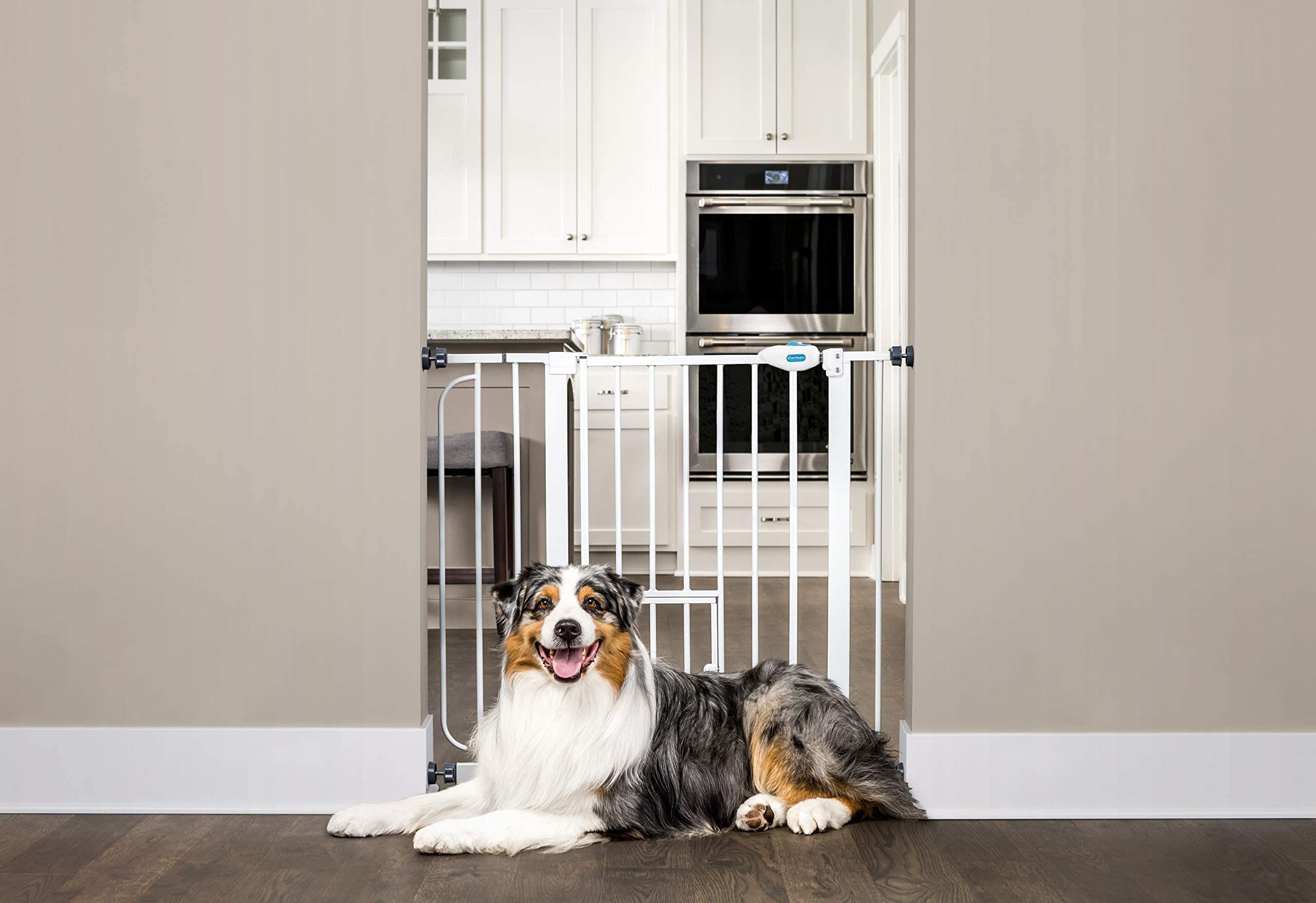 Carlson Extra Wide Walk Through Pet Gate with Small Pet Door, Includes 4-Inch Extension Kit, Pressure Mount Kit and Wall Mount Kit,White