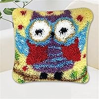 Meedyii DIY Kit for Adults and Kids Pattern Printed,Owl Picture Canvas Pillowcase Crochet Yarn Kits, Embroidery Decoration Zd673-40Cm