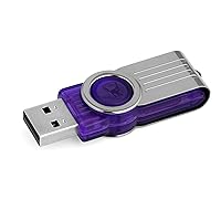 Kingston Digital 32GB DataTraveler 101 G2 USB 2.0 Drive - Purple (DT101G2/32GBZ)