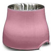 Dogit Elevated Dog Bowl, Stainless Steel Dog Food and Water Bowl for Small Dogs, Pink, 73742