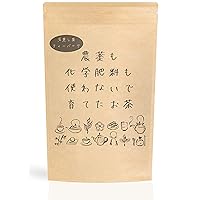 Mizutama Farm Tea Factory Green Tea Eco-Conscious Tea Bags - Deep Steamed Japanese Green tea - Authentic Japanese Origin - (2.5g×100count)