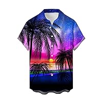 Mens Button Down Hawaiian Shirts 3D Print Graphic Short Sleeve Aloha Dress Shirts Casual Tropical Beach Floral Holiday Shirt