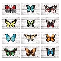 Butterfly Collection All-Occasion Blank Note Greeting Cards | 12 Pack Assortment Bulk Variety Set + 12 Envelopes (4x6)