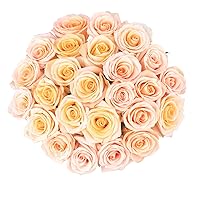 Colour Republic Fresh Cut Premium Ecuadorian Peach Roses, 25 Fresh Flowers Delivery