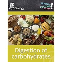 Digestion of carbohydrates - School Movie on Biology