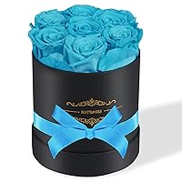 NATROSES Preserved Real Roses in a Box Roses That Last Up to 3 Years, Long Lasting Roses Gifts for Her, Valentines Day Gifts for Her (Blue)