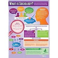 What is Sociology | Sociology Posters | Laminated Gloss Paper measuring 33” x 23.5” | Sociology Class Posters | Education Charts by Daydream Education