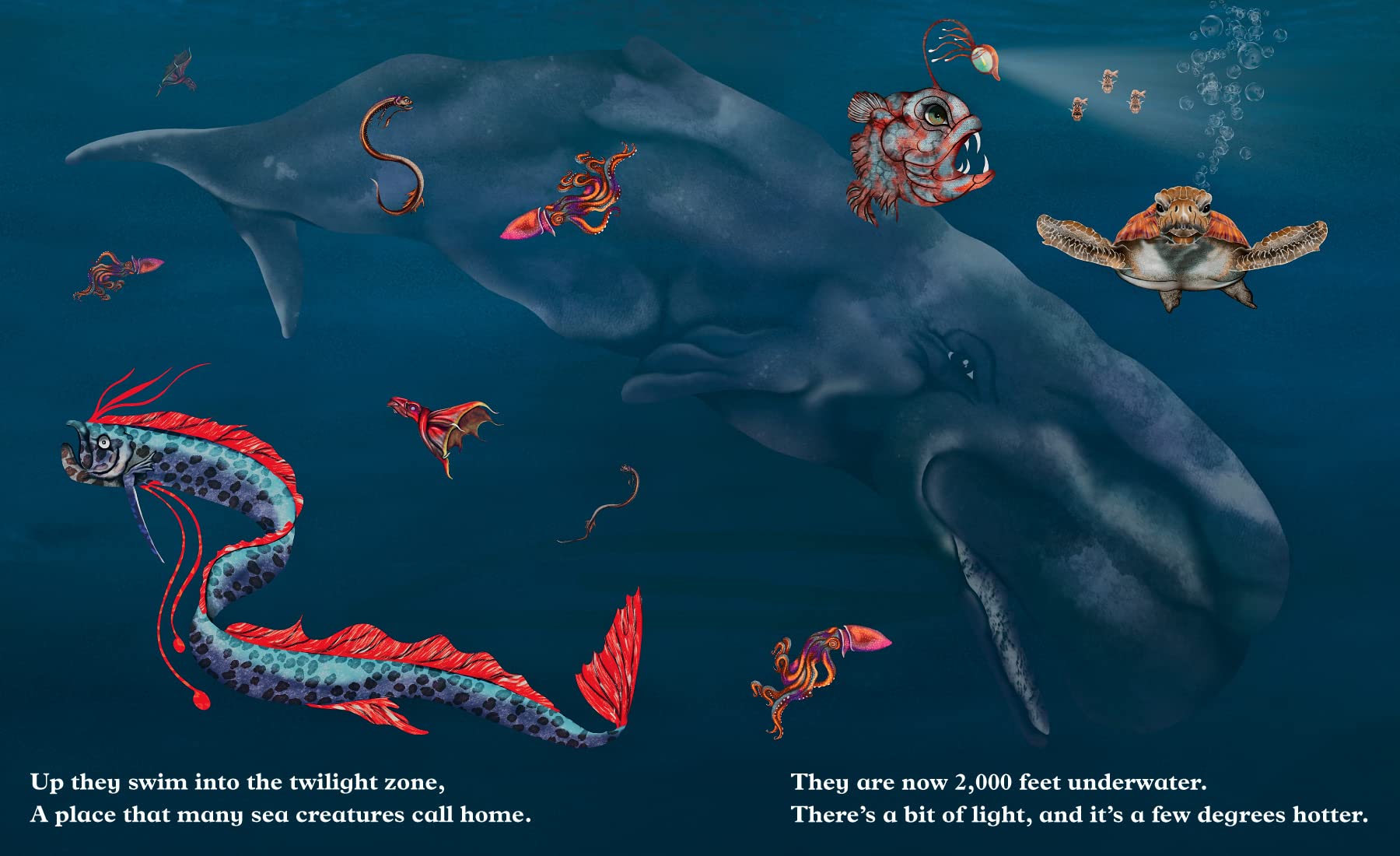 Dreaming of the Ocean (An educational children's picture book about sea creatures, including turtles, fish, giant squid, anglerfish, and whales - a great bedtime / good night story for kids)