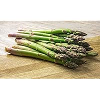 Asparagus, Mary Washington, Heirloom, 200+ Seeds, Tasty Healthy Veggie