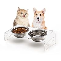 Tilted Raised Elevated Food and Water Bowls Stand for Cat or Small Dogs - Puppy's Clear Acrylic Stainless Steel Dishes Holder for Boy or Girl Pet,Modern,Durable and Easy to Clean by WBhonghui (Clear)