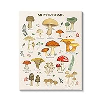 Stupell Industries Foraging Mushrooms Studies Canvas Wall Art Design by Sharon Lee