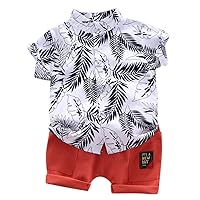 Toddler Baby Boys Clothes Set Button-Down Shirts Printed Tops + Shorts Summer Outfit 2Pcs With Pockets
