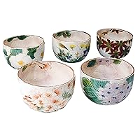 Japanese Ceramics M54616600 Pottery Pottery Kiln White Kake Five Flowers Small Bowl Set