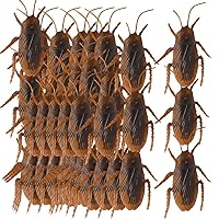 Multi-Pack Cockroaches - 6.25