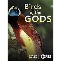 Birds of the Gods
