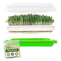 Sprouting Tray with Mung Bean Seeds, Sprouting Kit, BPA-Free Sprouting Trays for Sprouts and Microgreens, Wheatgrass or Cat Grass, Broccoli and Bean Sprouts Growing Kit