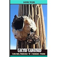 Cactus Cadavers: Vanishing Phantoms of Suburban Sprawl