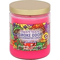 Smoke Odor Exterminator 13 oz Jar Candles Trippy Hippie, Pack of 2