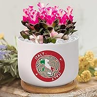 Italy Flag Map Flower Plant Pot Italy Flower Pots,Custom Succulent Pot, Personalized Small Flower Pot for Nana Mom Grandma