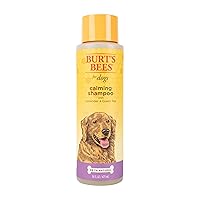 Natural Calming Lavender Dog Shampoo with Green Tea, Anti-Itch and Allergy Relief, Includes Oatmeal for Soothing Comfort - Sulfate, Paraben Free, pH Balanced, 16 oz - Made in USA