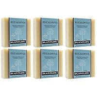 Plantlife Eucalyptus 6-pack Bar Soap - Moisturizing and Soothing Soap for Your Skin - Hand Crafted Using Plant-Based Ingredients - Made in California 4 oz Bar
