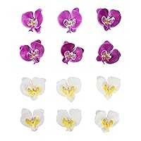 Artificial Silk Phalaenopsis Flower Heads, Fake Butterfly Orchid Heads for Wedding Floral Bouquet Decor DIY Craft Making Bridal Shower Photography Props, 20pcs Purple and 20Pcs White