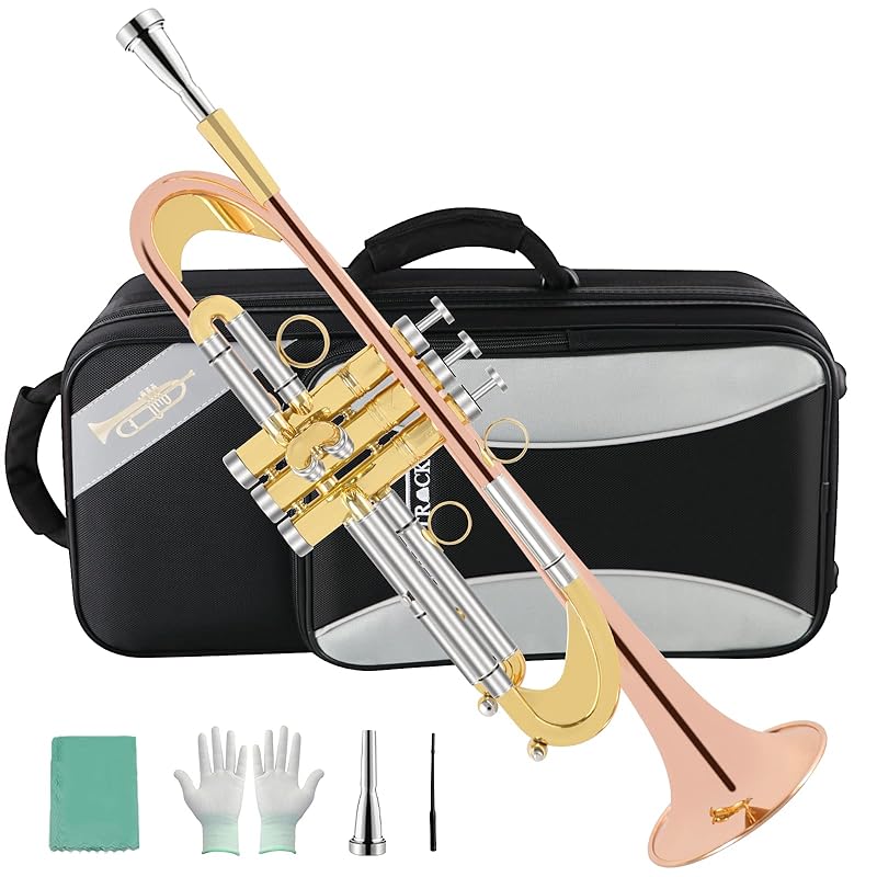 EASTROCK Bb Trumpet Standard Trumpet Set with Carrying Case,Gloves, 7C Mouthpiece, Cleaning Kit, Tuning Rod, Gray (Hand Carved Craft)