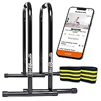 Lebert Fitness Dip Bar Stand - Original EQualizer Total Body Strengthener Pull Up Bar Home Gym Exercise Equipment Dipping Station - Hip Resistance Band, Workout Guide and Online Group - Black (XL)