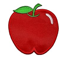 Cute Apple DIY Applique Embroidered Sew Iron on Patch AP-001