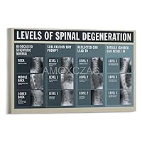 Spinal Degeneration Poster Chiropractor Poster Spinal Knowledge Poster Learning Spinal Degeneration Process Poster Home Living Room Bedroom Decoration Gift Printing Art Poster Frame-style 30x20