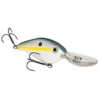 8XD / Sexy Shad (HC8XD-590)