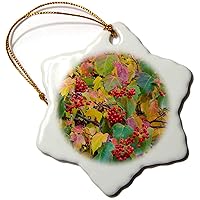 3dRose USA, Washington, Spokane County, Hawthorn Leaves and Berries - Ornaments (orn-189653-1)