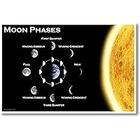 Moon Phases - Classroom Science Poster
