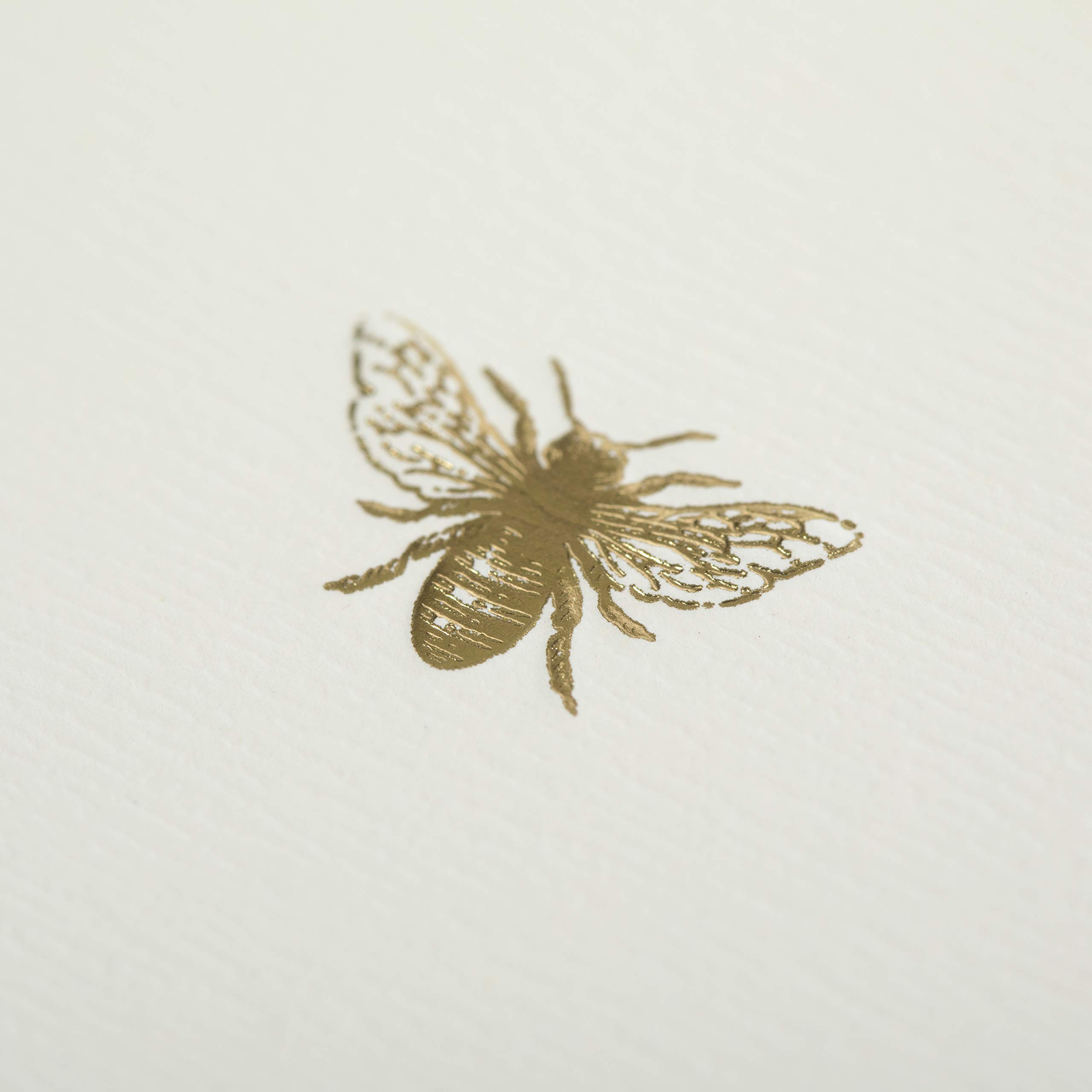 Graphique Bee La Petite Presse Boxed Notecards - 10 Embellished Gold Foil Blank Cards with Matching Envelopes and Storage Box, 3.25