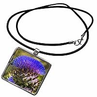 3dRose Artichoke thistle blooms, Desert Botanical Garden,... - Necklace With Pendant (ncl-380747)