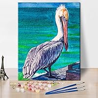 Colorful Pelican Paint by Numbers Adult Bird Paintings Paint by Number for Wall Decor Animal Art Paint by Numbers for Adults Beginner Oil Painting Kits Gift for Kids and Adults 16x20inch (Frameless)