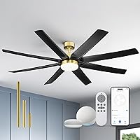 Black and Gold Ceiling Fan, 70 Inch Ceiling Fans with Lights with Remote Control, Reversible DC Motor,3CCT Dimmable, Modern Ceiling Fans for Bedroom,Indoor Use, CF01-BGB