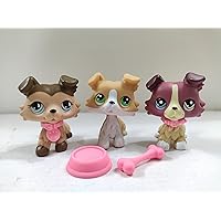 3pcs/Lot Set Pets Littlest Pet Shop LPS Collie Dog Coker Spaniel lps Blue Green Eyes Figure Doll Collection Toys Rare Gift Girl Toys with Accessories