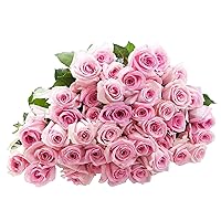 KaBloom PRIME NEXT DAY DELIVERY - SUPER PREMIUM 100 Pink Roses (Farm-Fresh, EXTRA Long Stem - 60cm / 24 in).Gift for Birthday, Sympathy, Anniversary, Thank You, Valentine, Mother’s Day Fresh Flowers