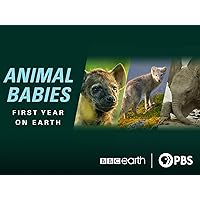 Animal Babies: First Year on Earth: Season 1
