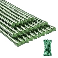 Garden Stakes 25 Pack Tomato Stakes Plant Sticks with 100 Ties (72 inch)